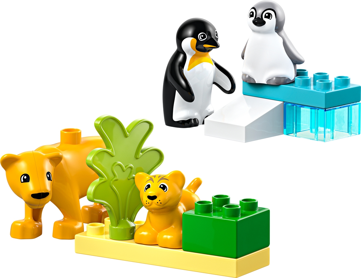 wild animal families penguins lions 10442